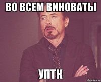 во всем виноваты уптк