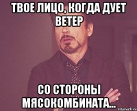 твое лицо, когда дует ветер со стороны мясокомбината...