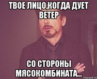 твое лицо,когда дует ветер со стороны мясокомбината...