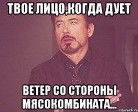 твое лицо,когда дует ветер со стороны мясокомбината...