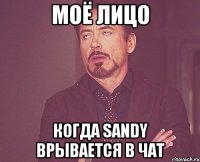 моё лицо когда sandy врывается в чат