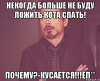 некогда больше не буду ложить кота спать! почему?-кусается!!!ёп**