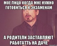 моё лицо когда мне нужно готовиться к экзаменам а родители заставляют работатть на даче