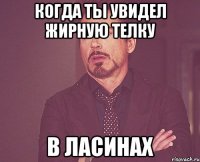 когда ты увидел жирную телку в ласинах