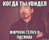 когда ты увидел жирную телку в ласинах