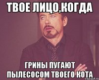 твое лицо,когда грины пугают пылесосом твоего кота