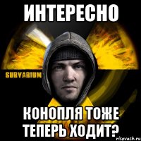 интересно конопля тоже теперь ходит?