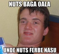 nuts baga oala unde nuts ferbe nasu