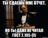 ты сдаешь мне отчет, но ты даже не читал гост 2.105-95