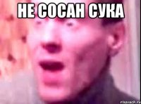 не сосан сука 