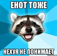 енот тоже нехуя не понимает