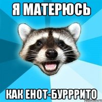 я матерюсь как енот-бурррито