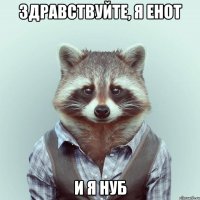 здравствуйте, я енот и я нуб