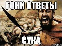 гони ответы сука