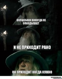 волшебник никогда не опаздывает и не приходит рано он приходит когда нужно