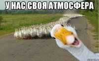 у нас своя атмосфера 