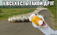 у всех есть такой друг 