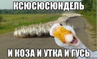 ксюсюсюндель и коза и утка и гусь