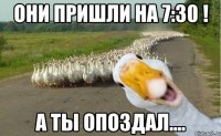 они пришли на 7:30 ! а ты опоздал....