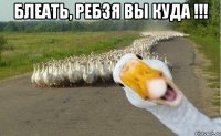 блеать, ребзя вы куда !!! 