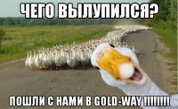 чего вылупился? пошли с нами в gold-way !!!