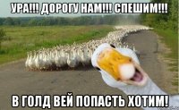 ура!!! дорогу нам!!! спешим!!! в голд вей попасть хотим!