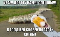 ура!!! дорогу нам!!! спешим!!! в голд вей скорей попасть хотим!