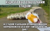 куда это вы топаете таким стадом! не стадом! а большой дружной командой направляемся в gold way! там бобла всем дают!