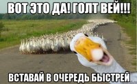 вот это да! голт вей!!! вставай в очередь быстрей