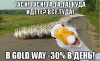 гуси! гуси! га-га-га! куда идете? все туда! в gold way -30% в день!