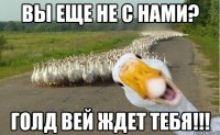 вы еще не с нами? голд вей ждет тебя!!!