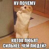 ну почему котов любят сильнее, чем людей?