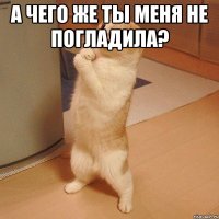 а чего же ты меня не погладила? 