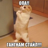 опа!! гангнам стайл!!!