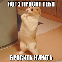 котэ просит тебя бросить курить