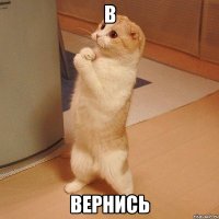 в вернись