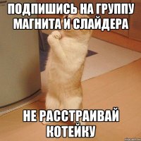 подпишись на группу магнита и слайдера не расстраивай котейку