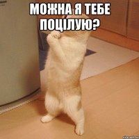 можна я тебе поцілую? 