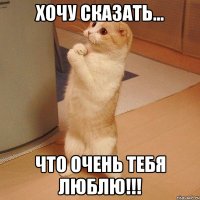 хочу сказать... что очень тебя люблю!!!