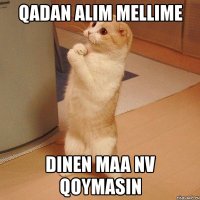 qadan alim mellime dinen maa nv qoymasin