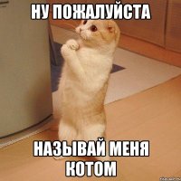 ну пожалуйста называй меня котом