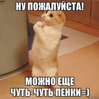 ну пожалуйста! можно еще чуть-чуть пенки=)