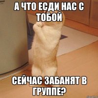 а что есди нас с тобой сейчас забанят в группе?