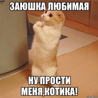 заюшка любимая ну прости меня,котика!