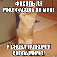 фасоль ля мио!фасоль ля мио! и снова тапком!и снова мимо!