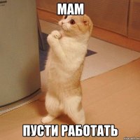 мам пусти работать