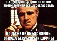 ты приходишь ко мне со своим бюджетом и просишь согласовать но даже не объясняешь, откуда берутся эти цифры