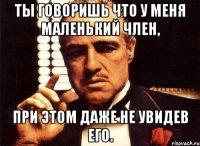 ты говоришь что у меня маленький член, при этом даже не увидев его.