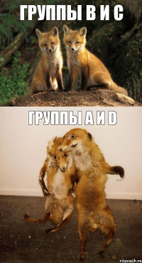 Группы В и С Группы А и D