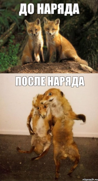 до наряда после наряда